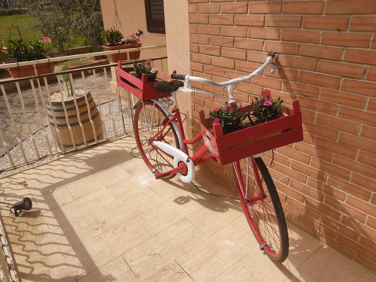 B&B Lara Santola Corato Extérieur photo